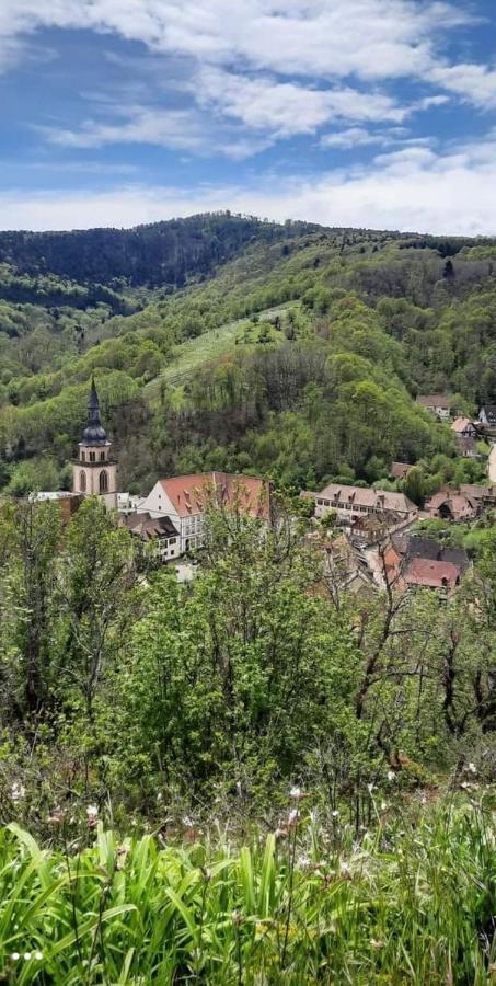 Gite A Andlau المظهر الخارجي الصورة